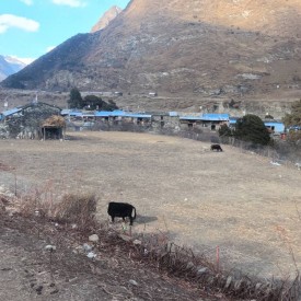 Samagaun Manaslu Circuit Trek